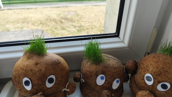 Oliziukai STEAM veikloje