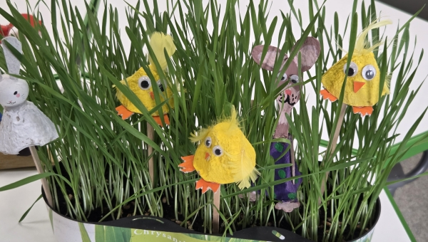 STEAM velykinis tvarumo projektas: kūrybiškumas, mokslas ir atsakomybė gamtai